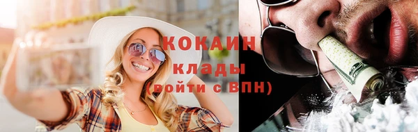 дмт Весьегонск