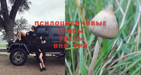 МДПВ Елабуга
