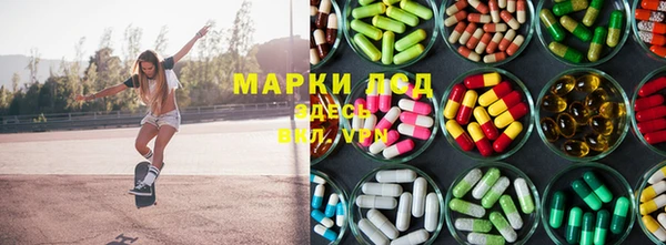 соль ск Дмитриев