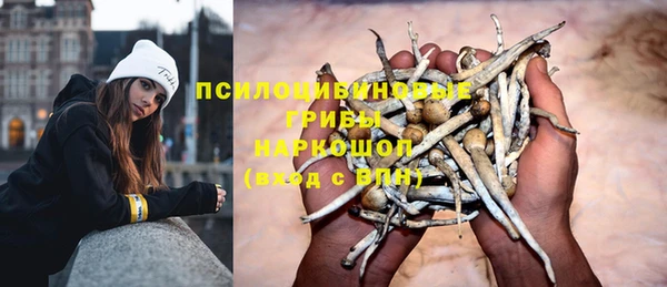 кокаин премиум Ельня