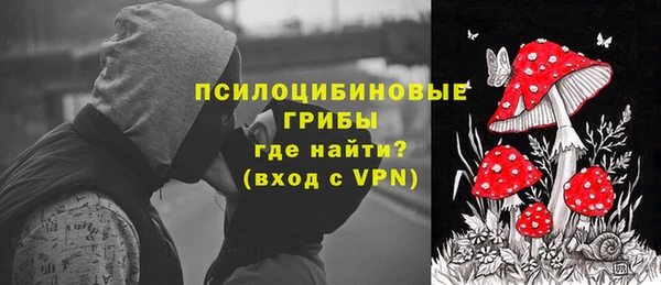 кокаин премиум Ельня