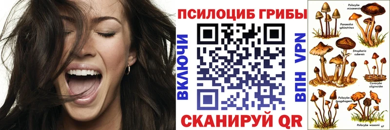 Псилоцибиновые грибы Magic Shrooms  купить наркотик  Касли 